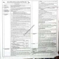 Consultancy Service