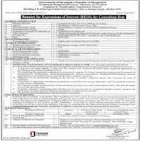 Consultancy services
