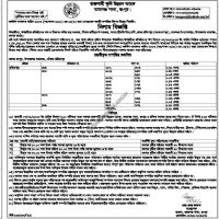 Auctions property