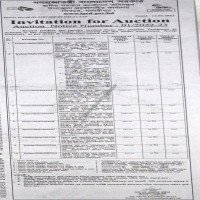 Auction