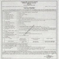 Supply Tender