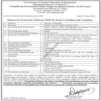 Consultancy Service