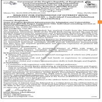 Consultancy Service