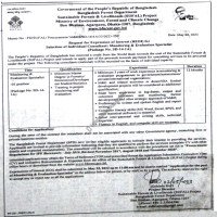 Consultancy Service
