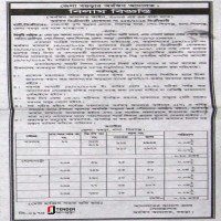 Auction Land
