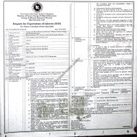 Consultancy Service